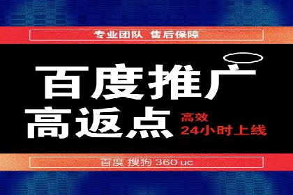 揭秘百度竞价代理：实战案例分析