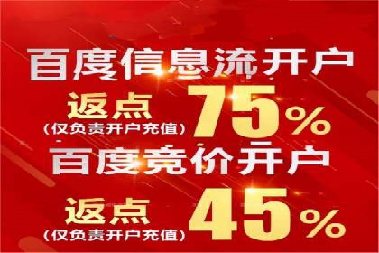 SEM竞价实战技巧，案例讲解与应用